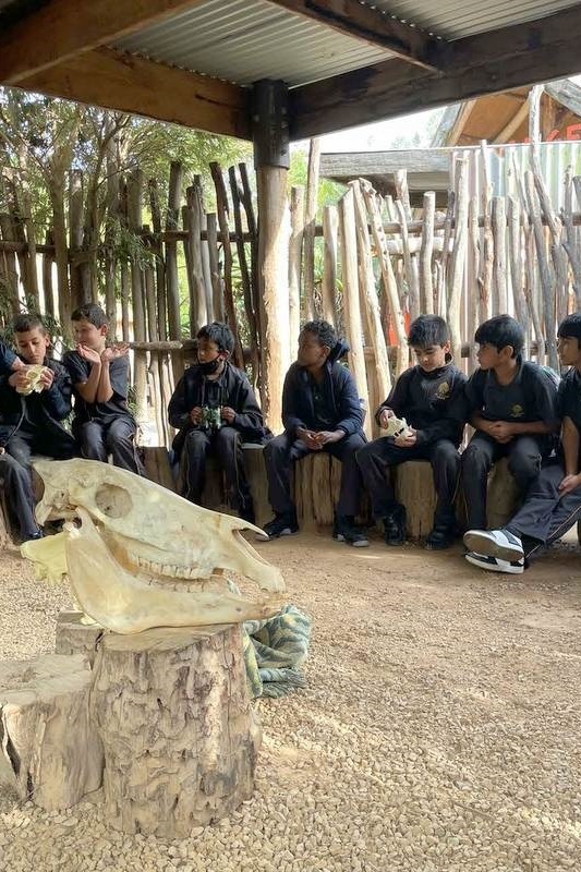 Year 4 Excursion: Werribee Zoo Safari